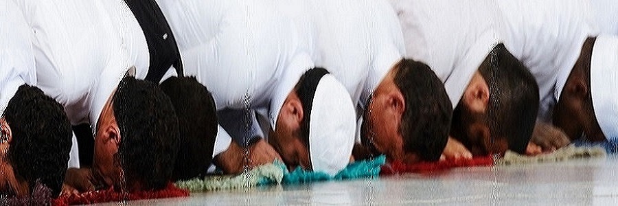 الصورة غير متوفرة