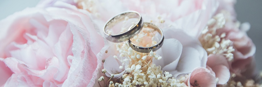 الصورة غير متوفرة