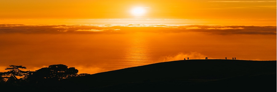 الرحيق المختوم